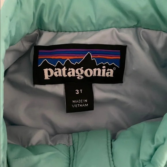 Patagonia Green Puffer Jacket with Quilted Design